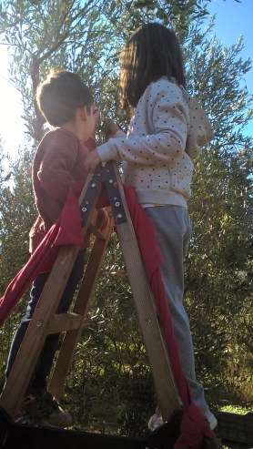 WP_20170923_10_21_50_Pro